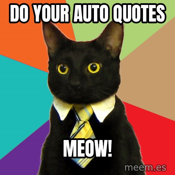 Business Cat meme: Do Your auto Quotes / MEOW!