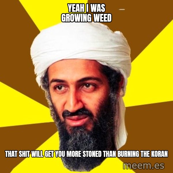 Osama meme: yeah I was growing weed / that shit will get you more stoned than burning the koran