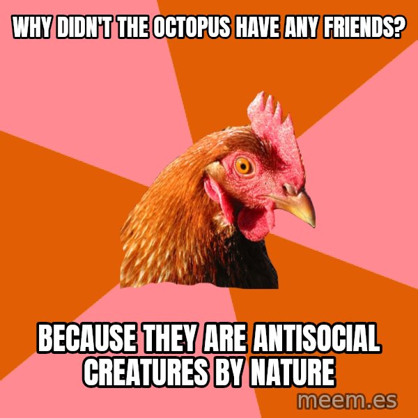 Anti Joke Chicken meme: why didn't the octopus have any friends? / because they are antisocial creatures by nature