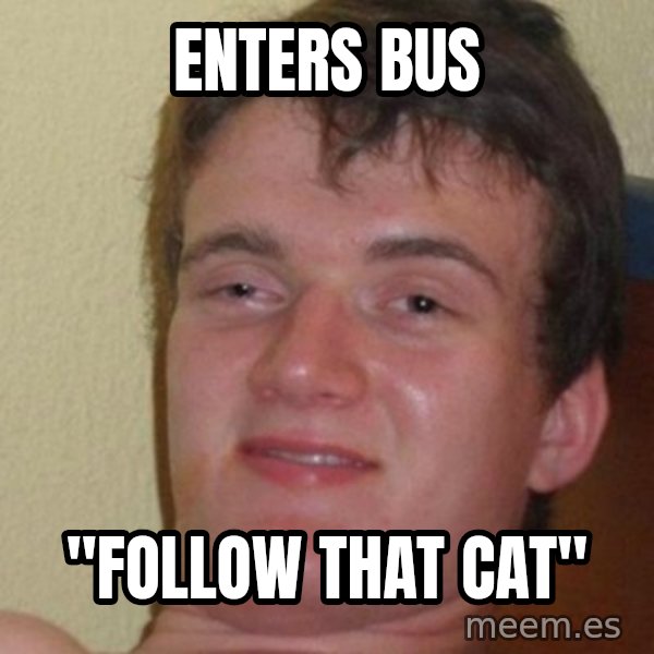 really high guy meme: enters bus / "follow that cat"