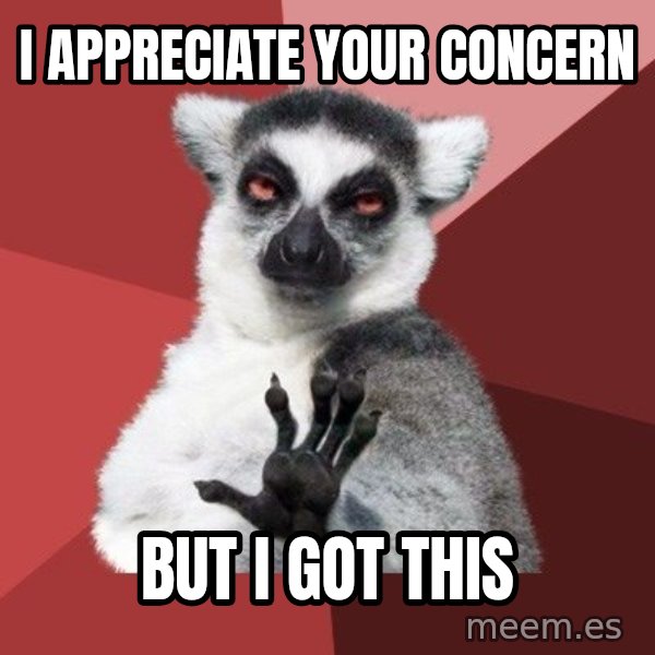 Chill Out Lemur meme: i appreciate your concern / bUt i got this