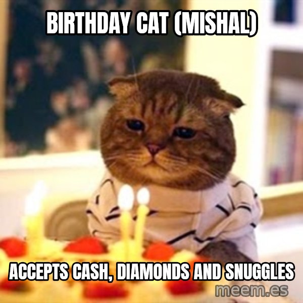 Birthday Cat meme: birthday cat (mishal) / accepts cash, diamonds and snuggles