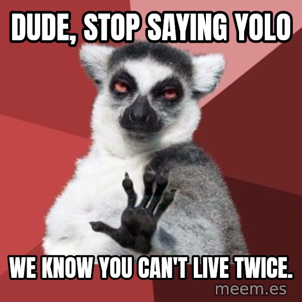Chill Out Lemur meme: Dude, stop sAying yolo / We know you can't live twice.