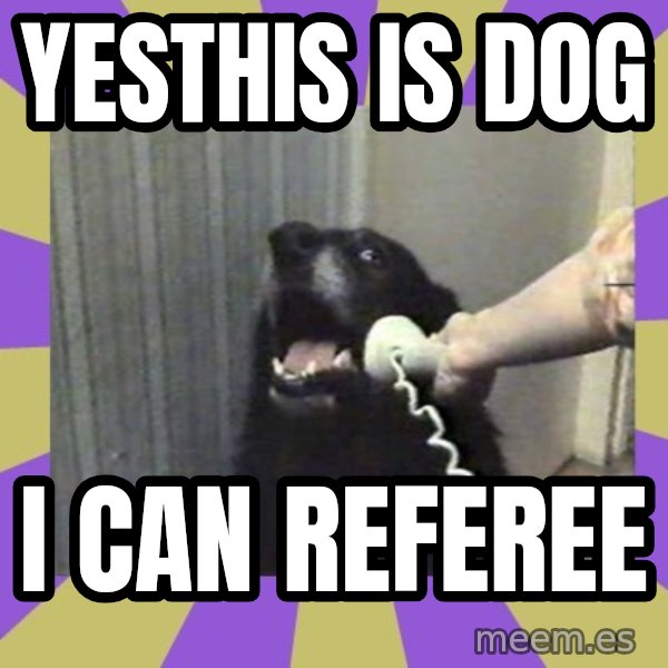 Yes, this is dog! meme: yesthis is dog / i can referee
