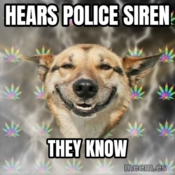 Stoner Dog meme: Hears police siren / They know