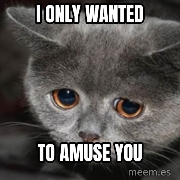 Sadcat meme: i only wanted / to amuse you