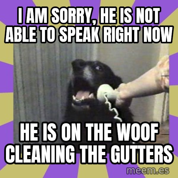 Yes, this is dog! meme: I am sOrry, he Is not able to spEak right now / He is on thE woof cleaning the gutters