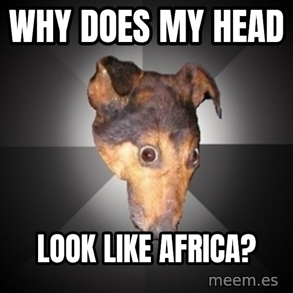 Depression Dog meme: why does my head / look like africa?