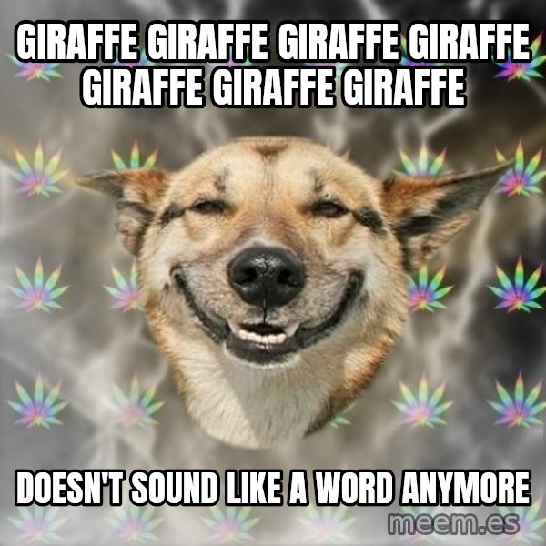 Stoner Dog meme: giraffe giraffe giraffe giraffe giraffe giraffe giraffe / doesn't sound like a word anymore