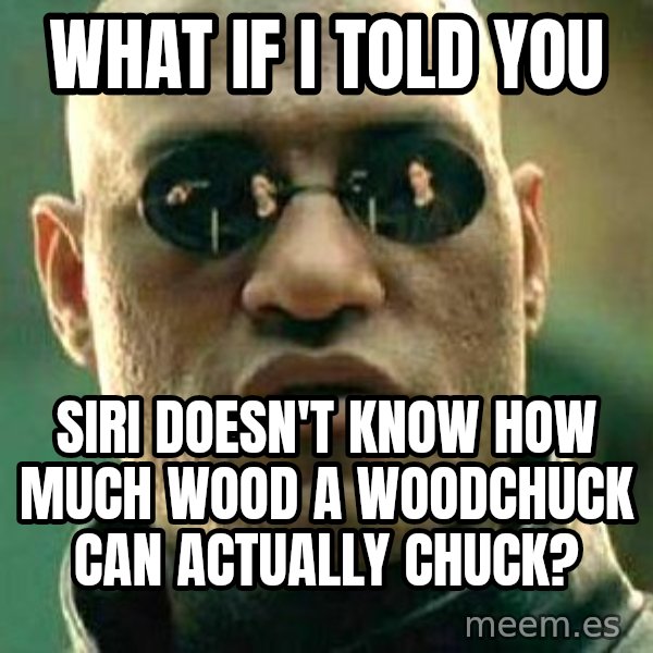 What if I told you / Matrix Morpheus meme: What if I told you / Siri doesn't know how much wood a woodchuck can actually chuck?