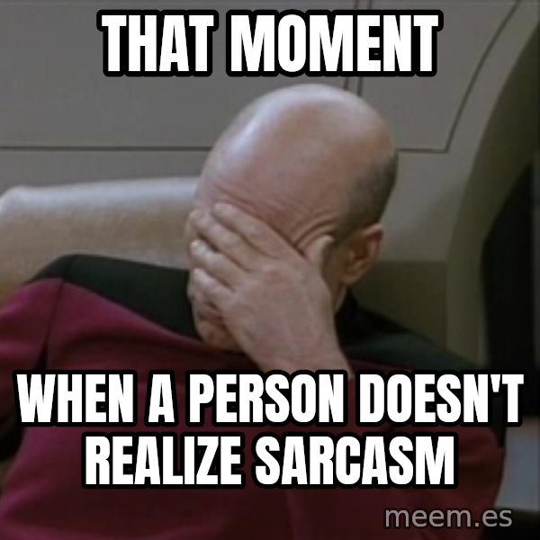 Picardfacepalm meme: That moment / when a person doesn't realize sarcasm