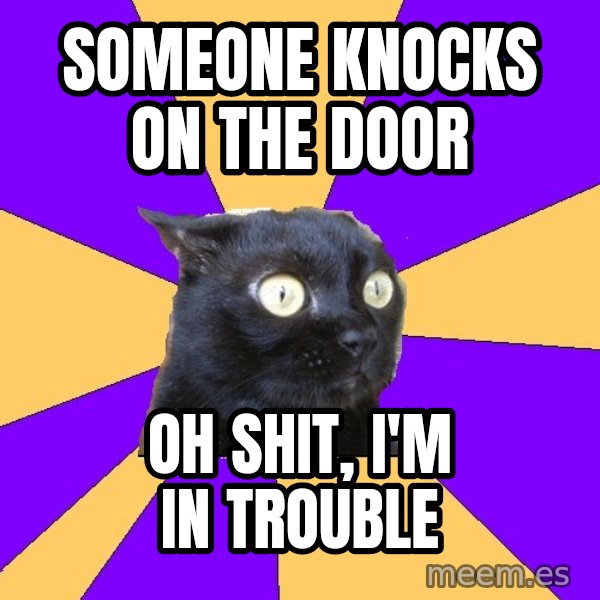 Anxiety Cat meme: Someone knocks on the door / Oh shit, I'm in tRouble