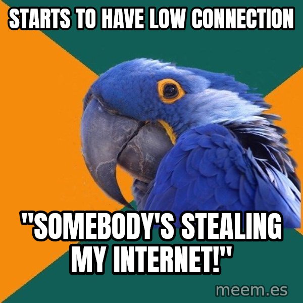 Paranoid Parrot meme: Starts to have low connection / "Somebody's stealing my internet!"