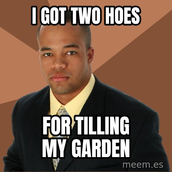 Successful Black Man meme: i got two hoes / for tilling my garden