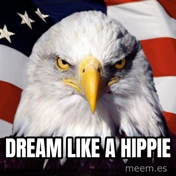 American Pride Eagle meme: Dream like a hippie