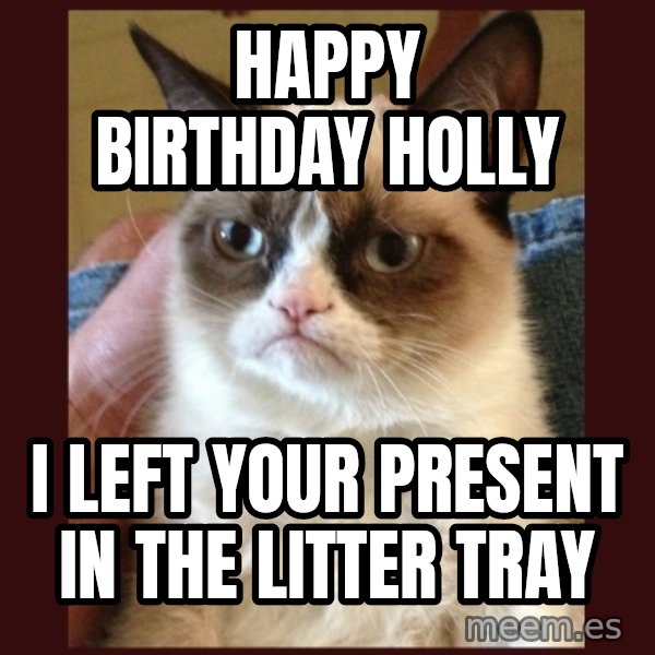 Tard the Grumpy Cat meme: Happy birthday holly / i left your present in the litter tray