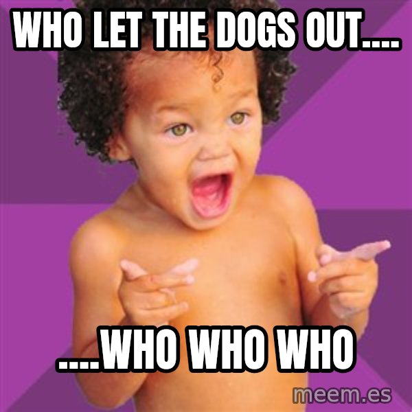 Baby $wag meme: Who let the dogs out.... / ....who who who