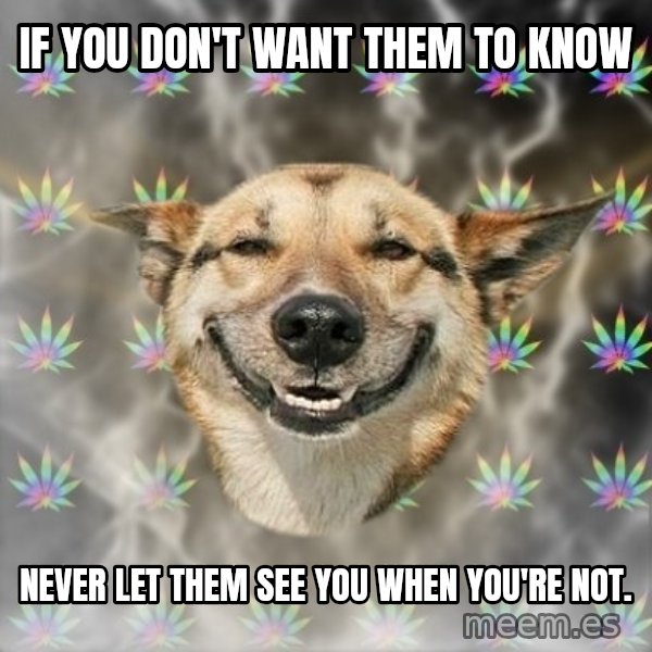 Stoner Dog meme: if you don't want them to know / never let them see you when you're not.