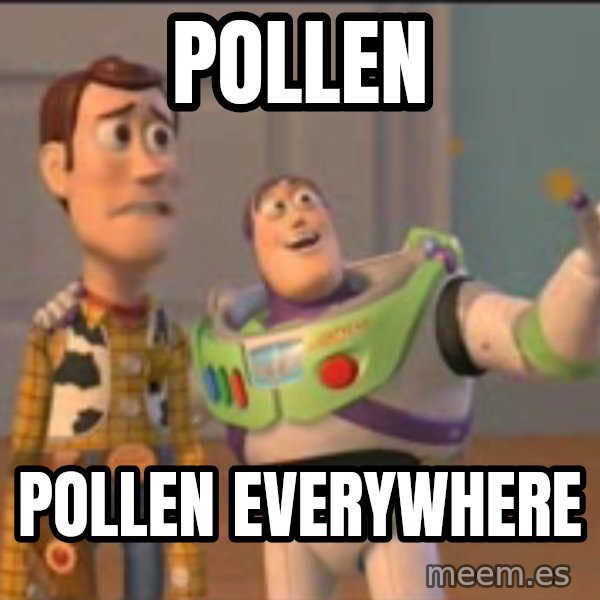 X, X Everywhere  meme: POLLEN / POLLEN EVERYWHERE