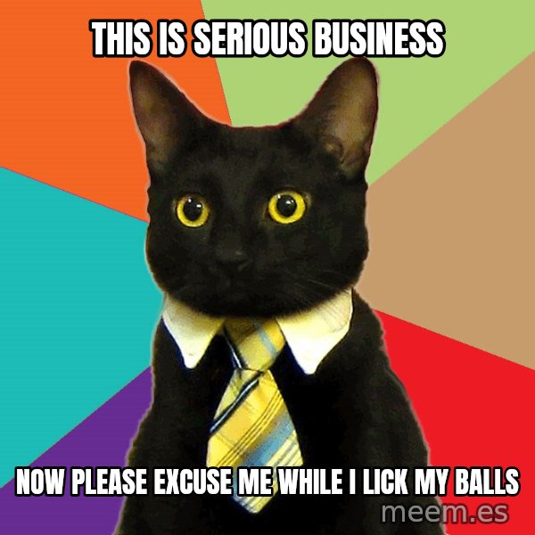 Business Cat meme: THis is serious business / now please excuse me while i lick my balls