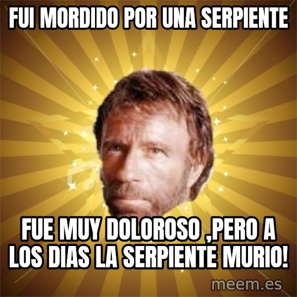 Chuck Norris Advice meme: fui mordido por una serpiente / fue muy doloroso ,pero a los dias la serpiente murio!