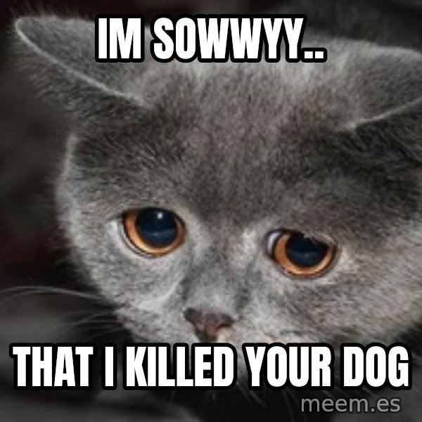 Sadcat meme: im sowwyy.. / that i killed your dog