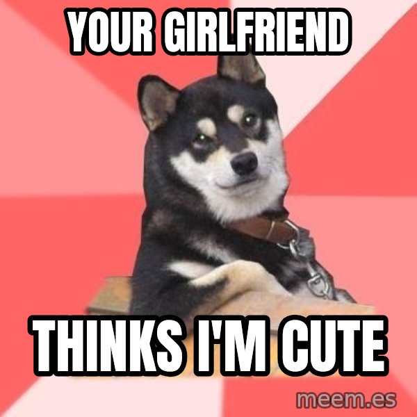 Cool Dog meme: Your girlfriend / thinks i'm cute