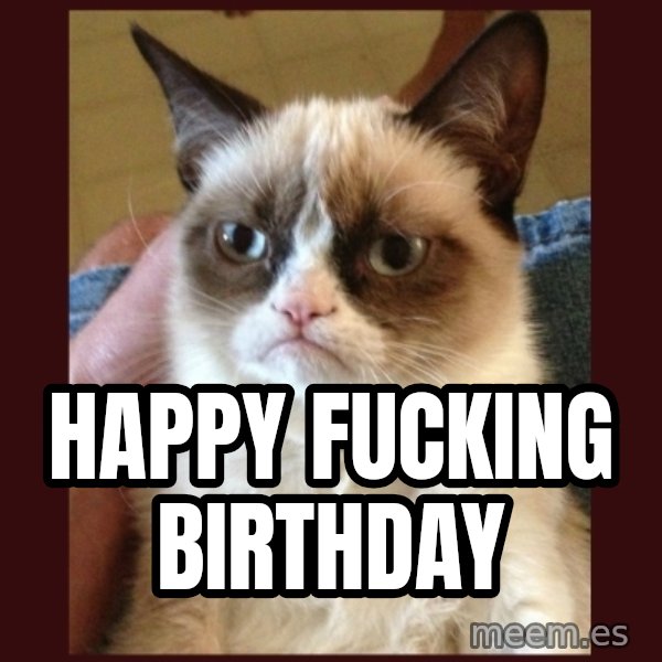 Tard the Grumpy Cat meme: Happy fucking birthday