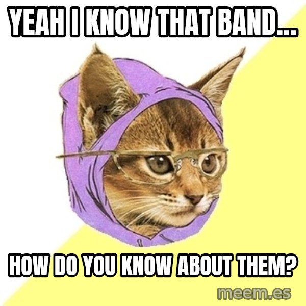 Hipster Kitty meme: yeah I know that band... / how do you know about them?