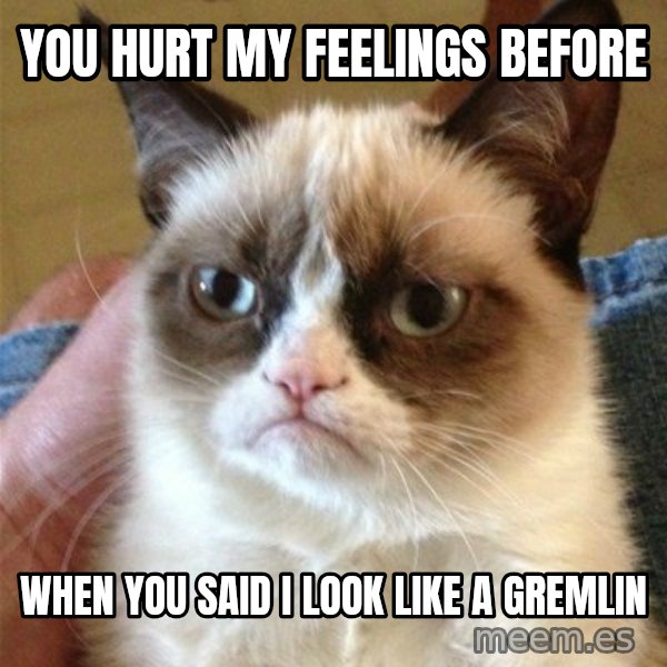 Grumpy Cat  meme: you hurt my feelings before / when you said I look like a gremlin