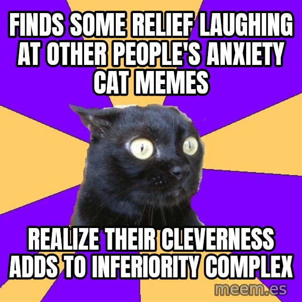 Anxiety Cat meme: finds some relief laughing at other PEOPLE's anxiety cat memes / realize their cleverness adds to inferiority complex