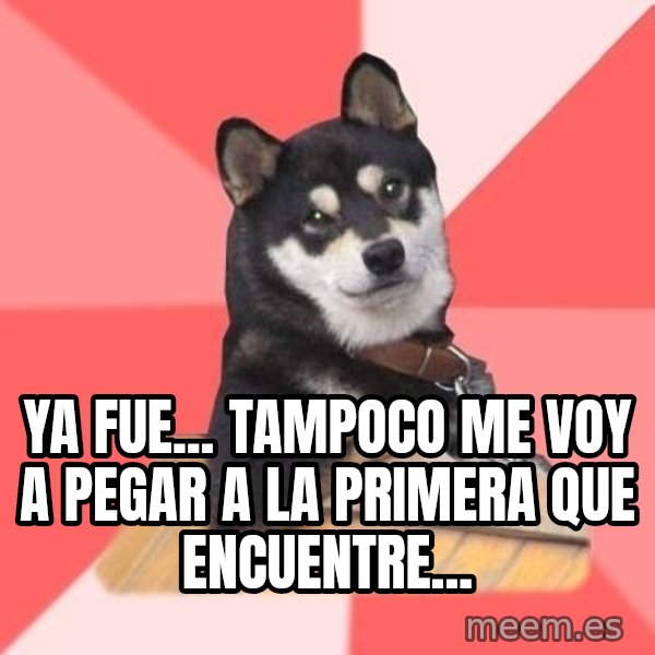 Cool Dog meme: YA FUE... TAMPOCO ME VOY A PEGAR A LA PRIMERA QUE ENCUENTRE...