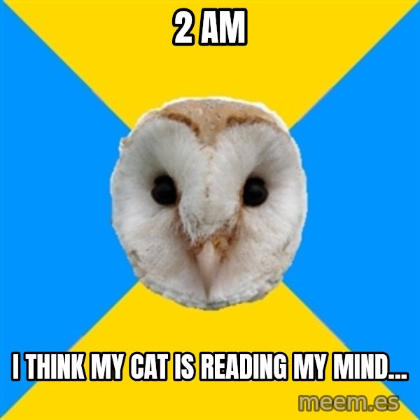 Bipolar Owl meme: 2 AM / I Think My Cat Is Reading My Mind...