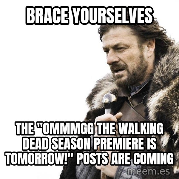 Winter is Coming meme: BRACE YOURSELVES / tHE "OMMMGG THE WALKING DEAD SEASON PREMIERE IS TOMORROW!" POSTS ARE COMING