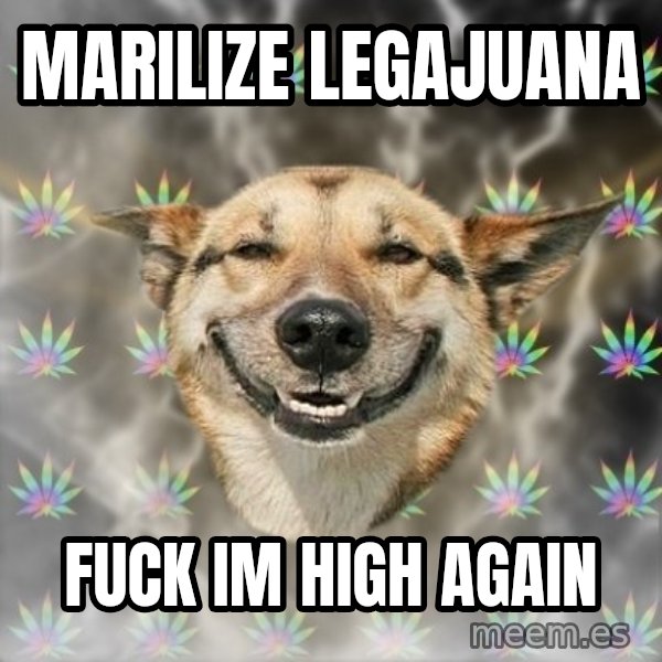Stoner Dog meme: marilize legajuana / fuck im high again