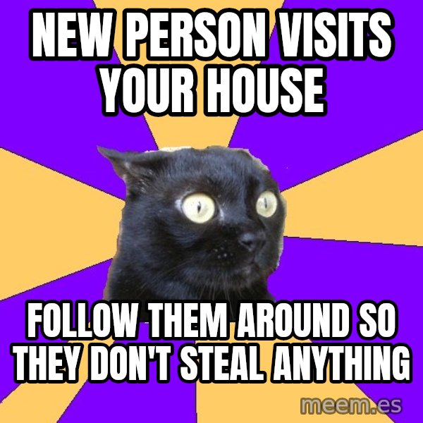 Anxiety Cat meme: New person visits your house / follow them around so they don't steal anything