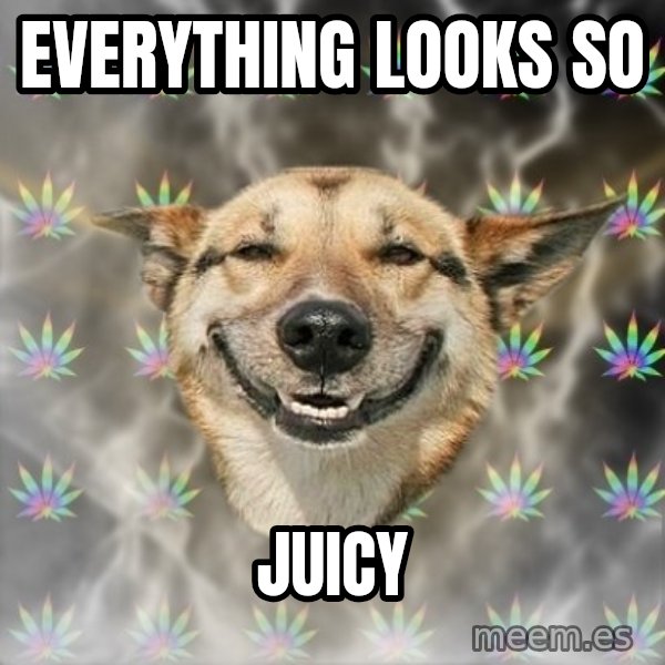 Stoner Dog meme: everything looks so / juicy