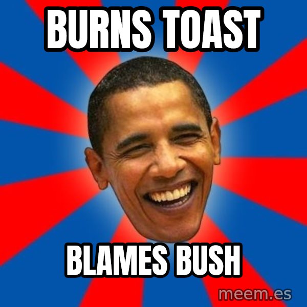 Obama meme: BURns toast / blames bush