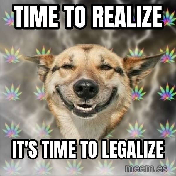 Stoner Dog meme: time to realize / it's TIME to legalize