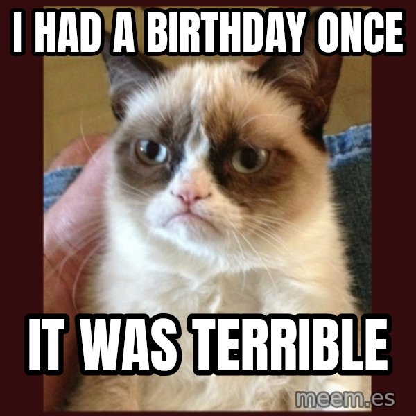 Grumpy Cat  meme: I had a birthday once / It was terrible