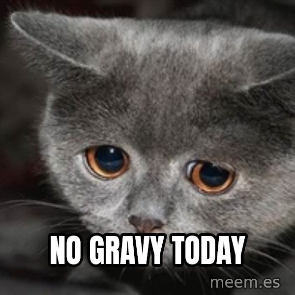 Sadcat meme: No gravy today