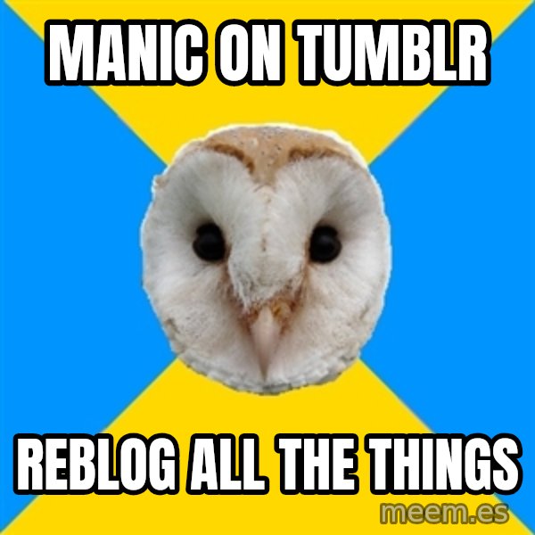 Bipolar Owl meme: MANIC on tumblr / reblog all the things