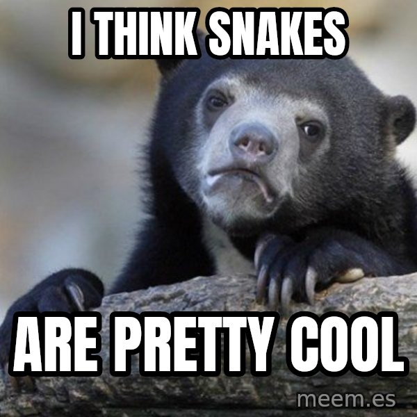 Confession Bear meme: I think snakes / are pretty cool