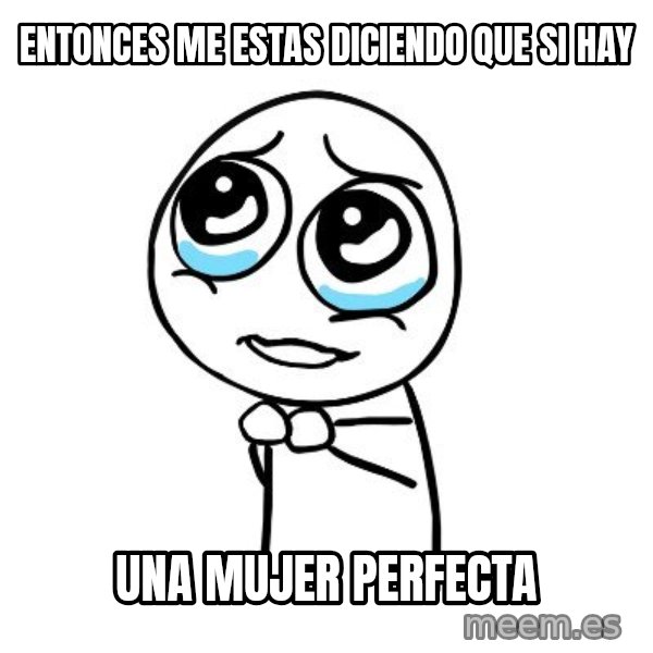 pleaseguy  meme: entonces me estas diciendo que si hay / una mujer perfecta