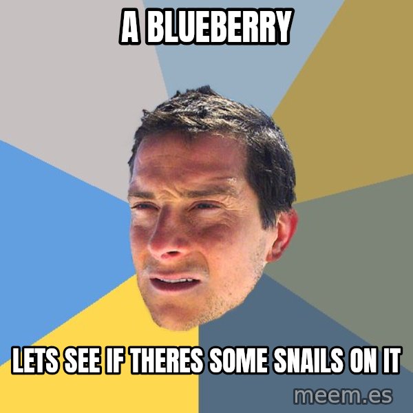 Bear Grylls meme: a blueberry / lets see if theres some snails on it