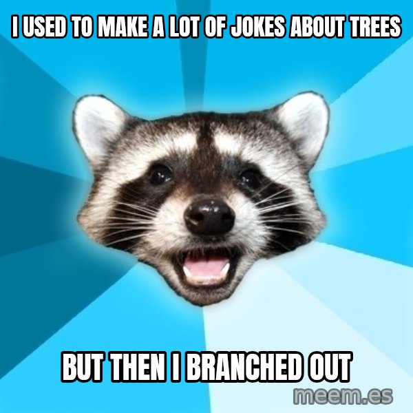 Lame Pun Coon meme: I used to make a lot of jokes about trees / but then i branched out