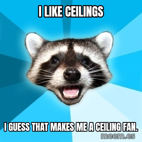 Lame Pun Coon meme: I like ceilings / I guess that makes me a ceiling fan.
