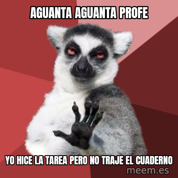 Chill Out Lemur meme: aguanta aguanta profe / yo hice la tarea pero no traje el cuaderno