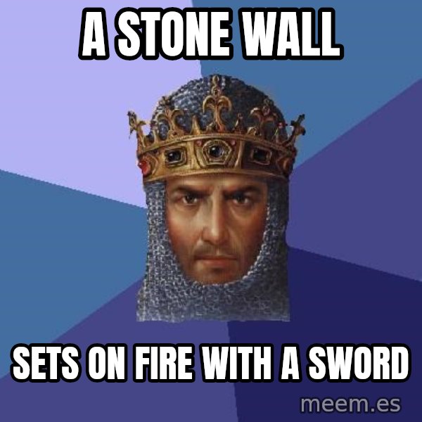 Age Of Empires meme: A STONE WALL / SETS ON FIRE WITH A SWORD
