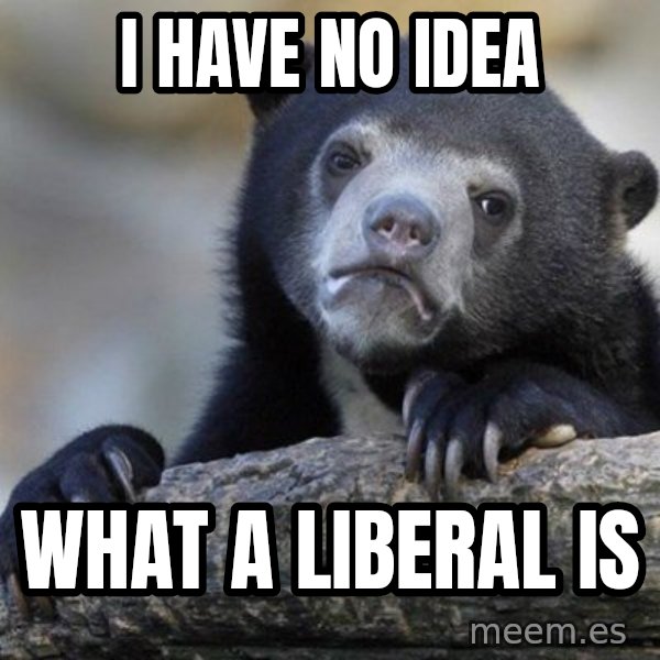 Confession Bear meme: I have no idea / what a liberal is